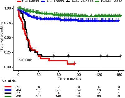 The Survival Benefits of Surgical Resection and Adjuvant Therapy for Patients With Brainstem Glioma 